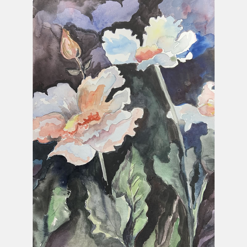 Peaches and Cream - Product - Floral Category