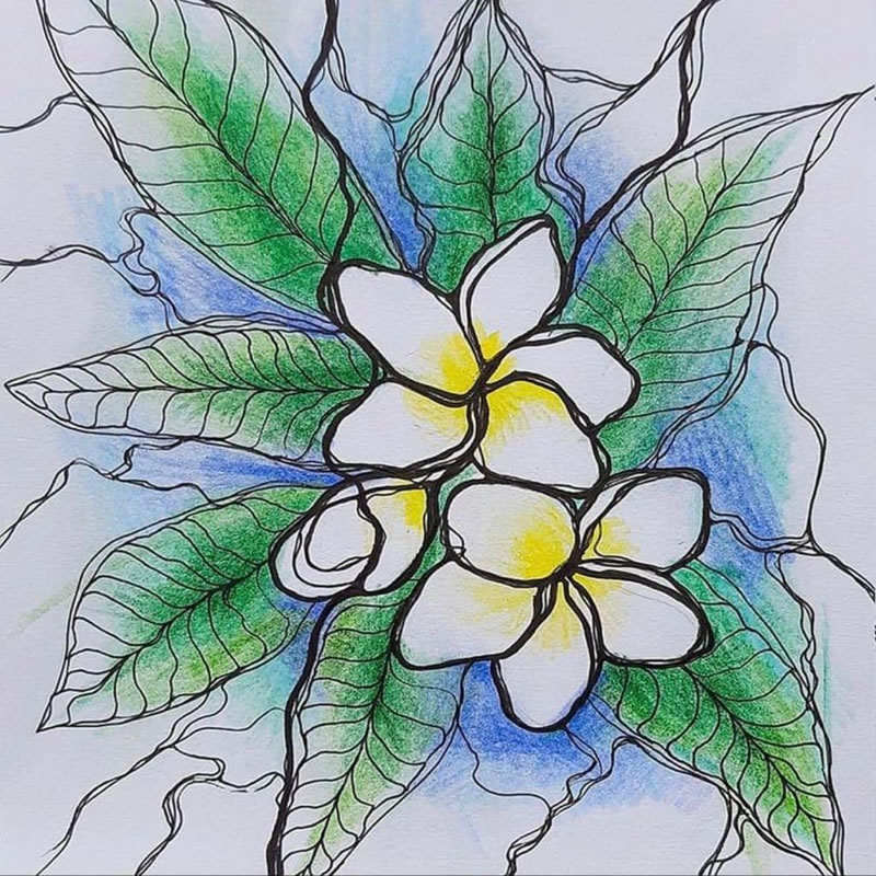 Purity - Product - Floral Category